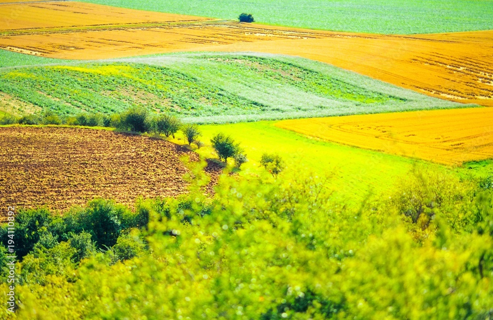 Fototapeta premium Landschaft, Blick vom Heseberg, nördliches Harzvorland, Niedersachsen, Deutschland, Europa