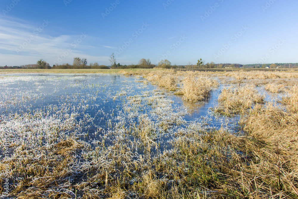 Frost on the grass and frozen water