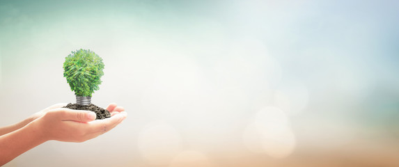 Green energy concept with tree growing inside light bulb on hands for environmental sustainability and renewable resource in nature background with bokeh and copy space for text