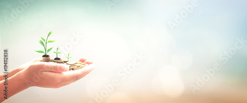 Invest and fund concept: Human hands save holding golden coin stack and small tree on blurred nature background.