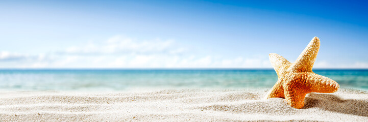 Shell on sand and summer time 