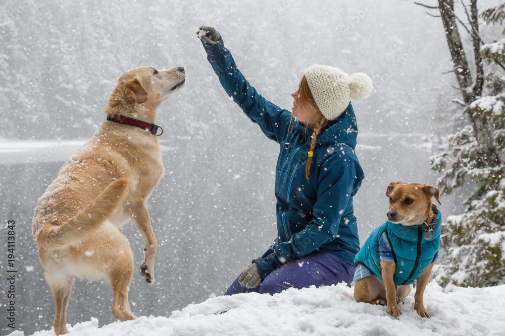 Girl playing with her dog in the snow. Taken near Squamish and Whistler, North of Vancouver, BC Canada. Concept: love, friendship, care
