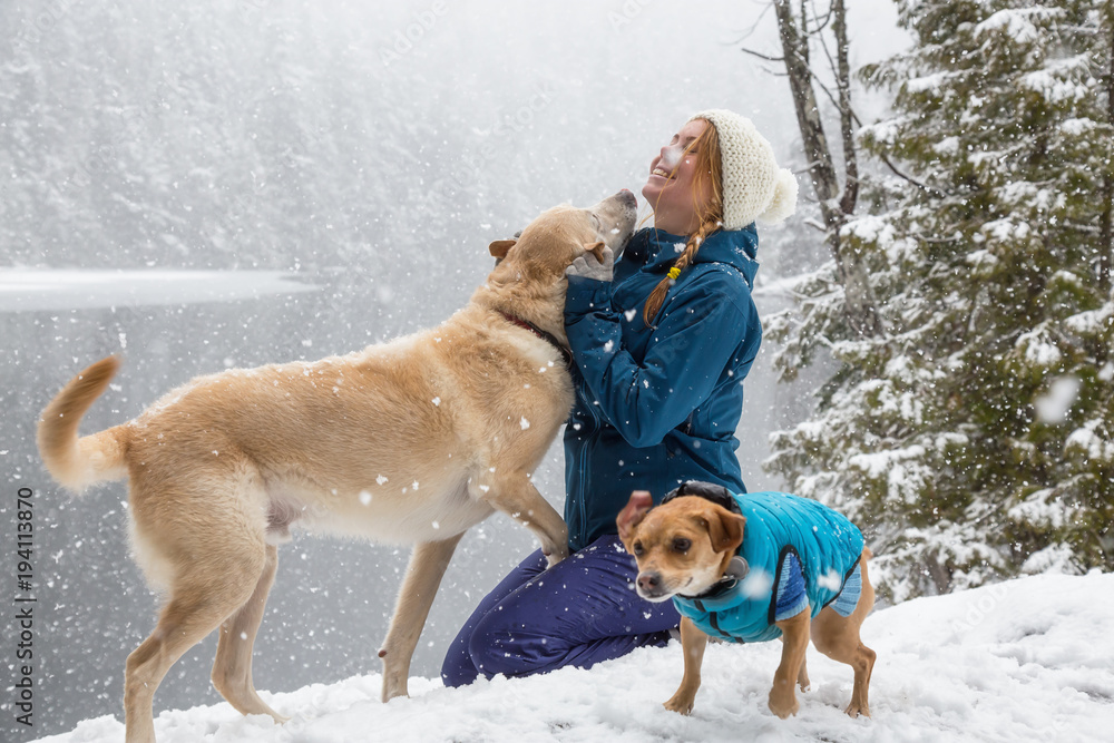 Girl playing with her dog in the snow. Taken near Squamish and Whistler, North of Vancouver, BC Canada. Concept: love, friendship, care Girl playing with her dog in the snow. Taken near Squamish and Whistler, North of Vancouver, BC Canada. Concept: love, friendship, care