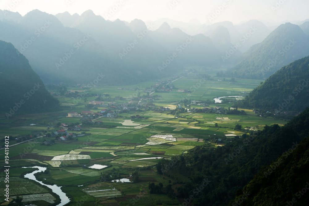 Rice field with mountain in Bac Son valley in Vietnam