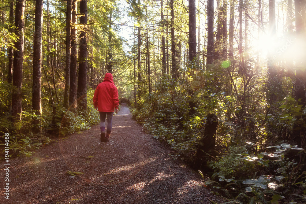 Girl wearing a bright red jacket is walking the the beautiful woods during a vibrant winter morning. Taken in Ucluelet, Vancouver Island, BC, Canada. Girl wearing a bright red jacket is walking the the beautiful woods during a vibrant winter morning. Taken in Ucluelet, Vancouver Island, BC, Canada.