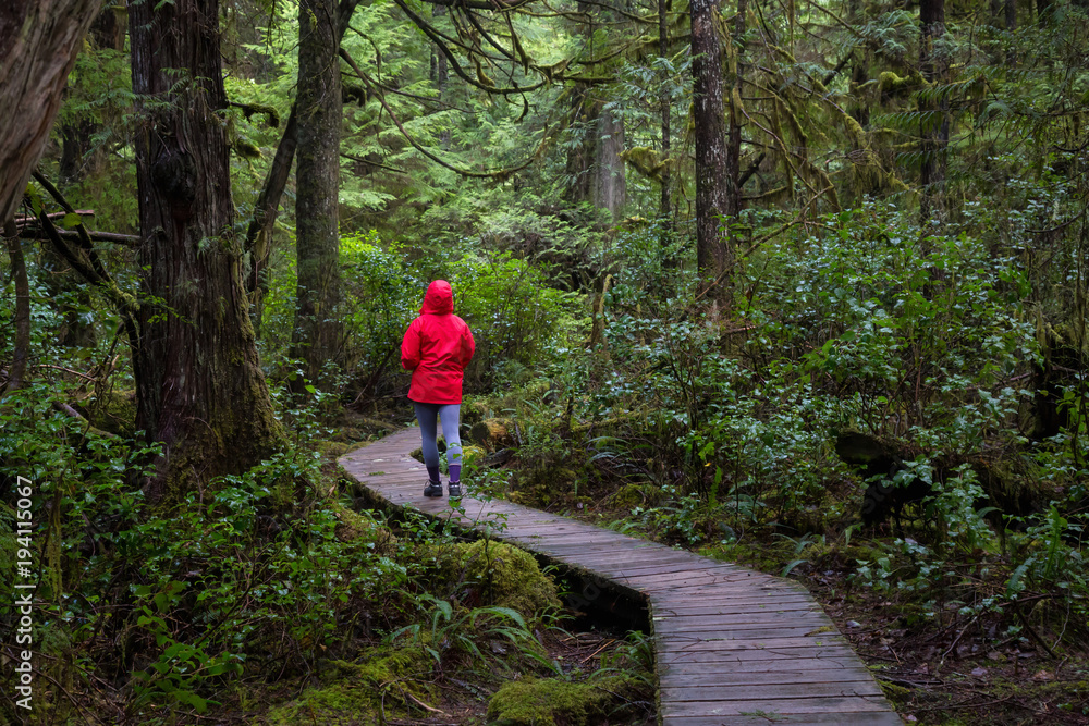 Girl wearing a bright red jacket is walking the the beautiful woods during a vibrant winter morning. Taken in Ucluelet, Vancouver Island, BC, Canada. Girl wearing a bright red jacket is walking the the beautiful woods during a vibrant winter morning. Taken in Ucluelet, Vancouver Island, BC, Canada.