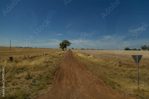 rustic track