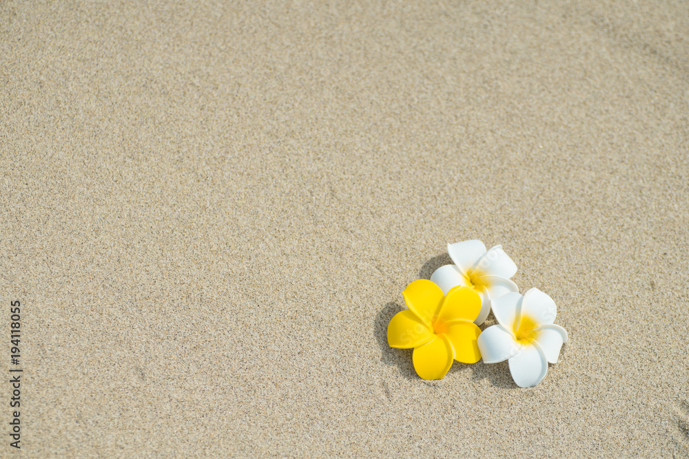 砂浜とプルメリア
