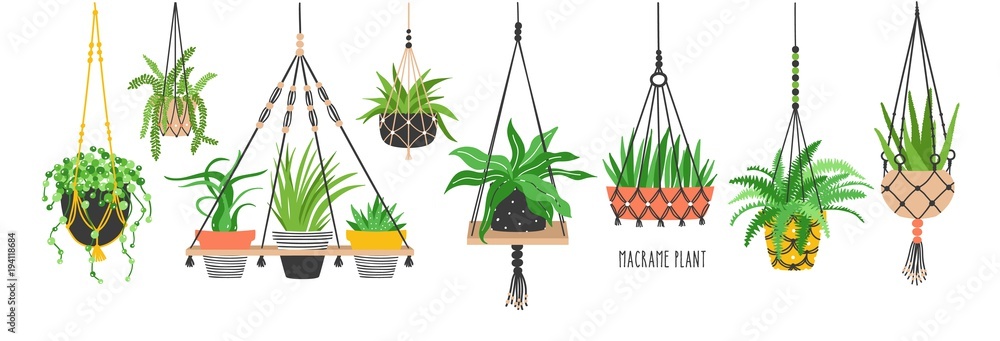 Set of macrame hangers for plants growing in pots. Bundle of hanging planters made of cotton cord, beautiful handmade home decorations isolated on white background. Cartoon flat vector illustration. - obrazy, fototapety, plakaty 