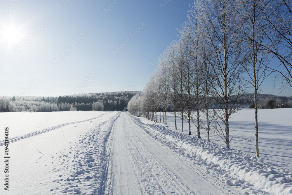 Wintry landscape on a sunny day in Finland. Blue sky with sunshine, frosty forest and tree branches. Wintry landscape on a sunny day in Finland. Blue sky with sunshine, frosty forest and tree branches.