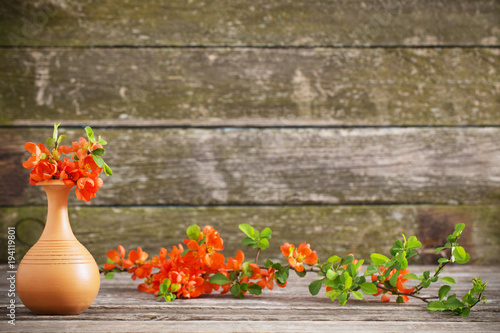 spring flowers on wooden background