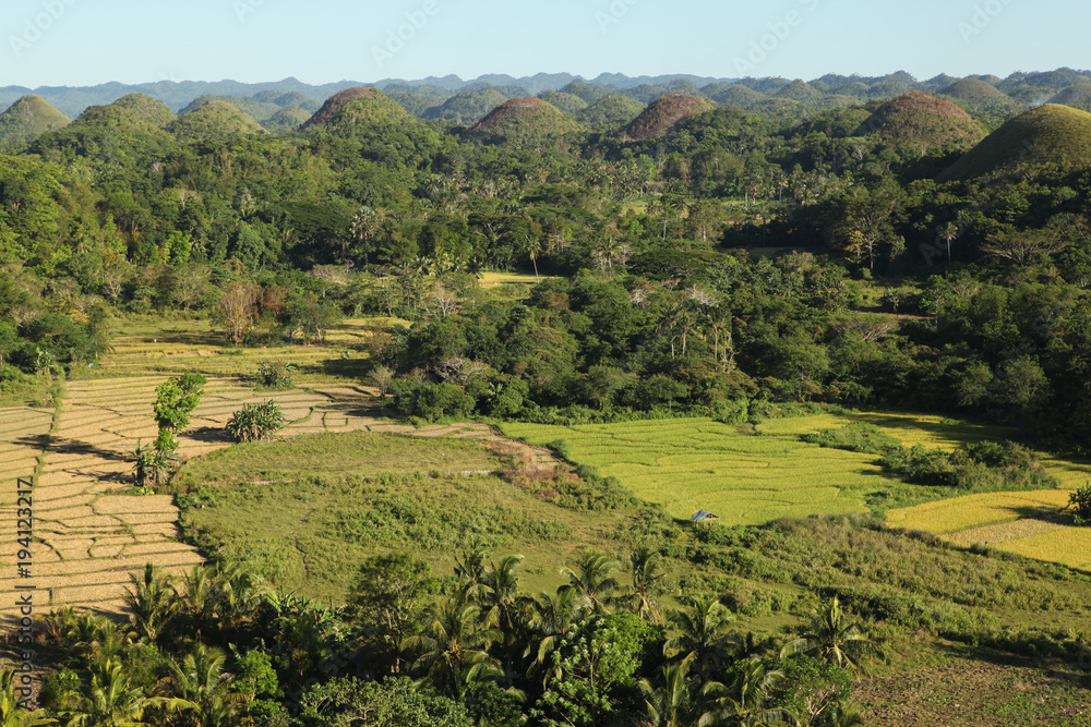 Great view over the chocolate hills