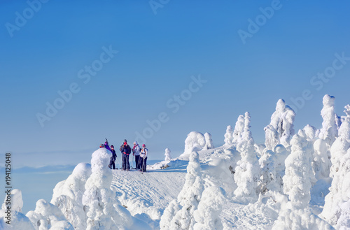 Group of hikers are enjoying a beautiful winter landscape in Koli National Park photo