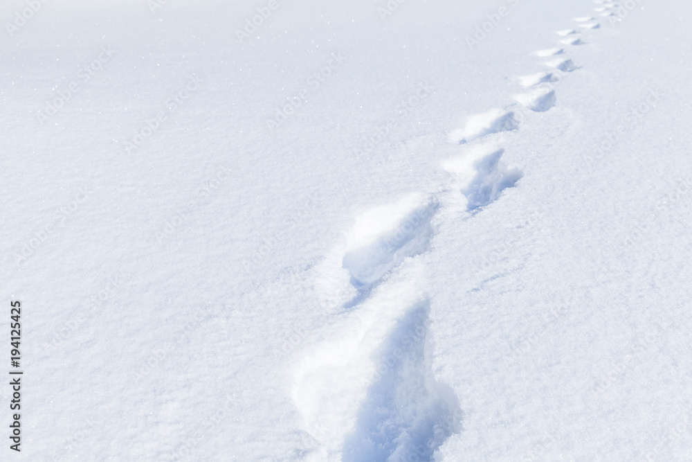 Footprints in snowdrift, winter background Footprints in snowdrift, winter background