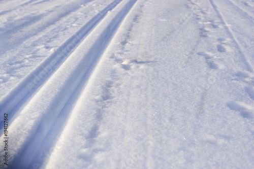 Closeup of ski tracks with animal footsteps during blue hour