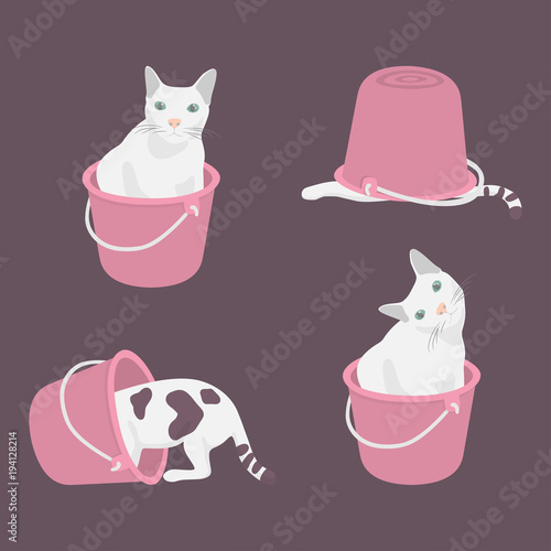 four fat cat confused in Bucket background seamless pink