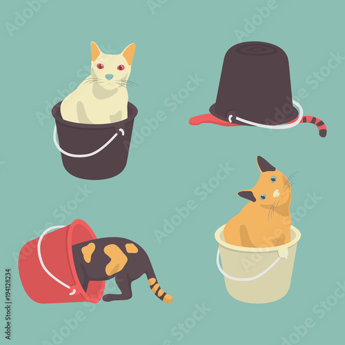 four fat cat confused in Bucket background seamless green