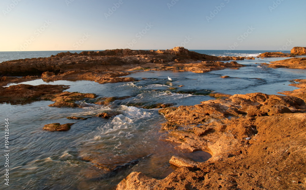 Pejzaż ze skalistym brzegiem morza, płytką zatoczką między skałami, morskimi ptakami, za dużą skałą w kolorze ochry widać pełne morze i horyzont, ciepłe światło zachodu słońca