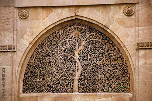 Carving details on the outer wall of the Sidi Sayeed Ki Jaali (Mosque), Built in 1573, Ahmedabad, Gujarat photo