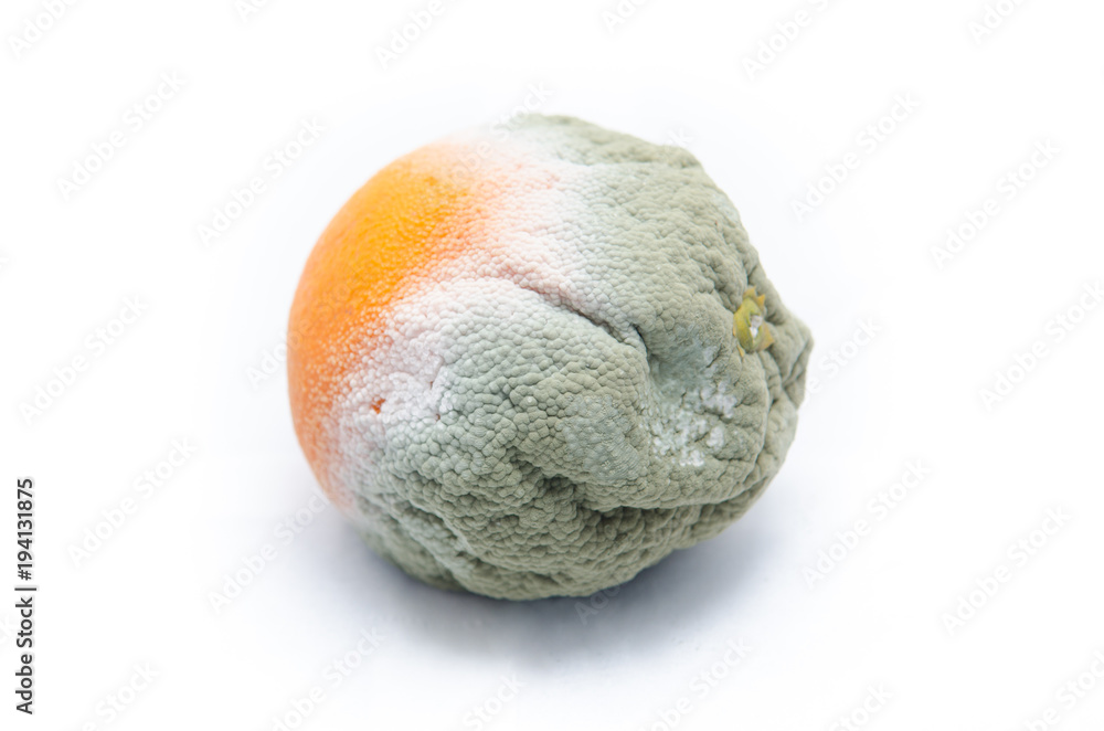Fototapeta premium decayed orange