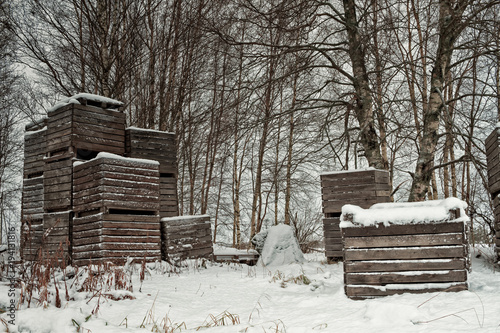 Photography Old Wooden Crates By the Trees