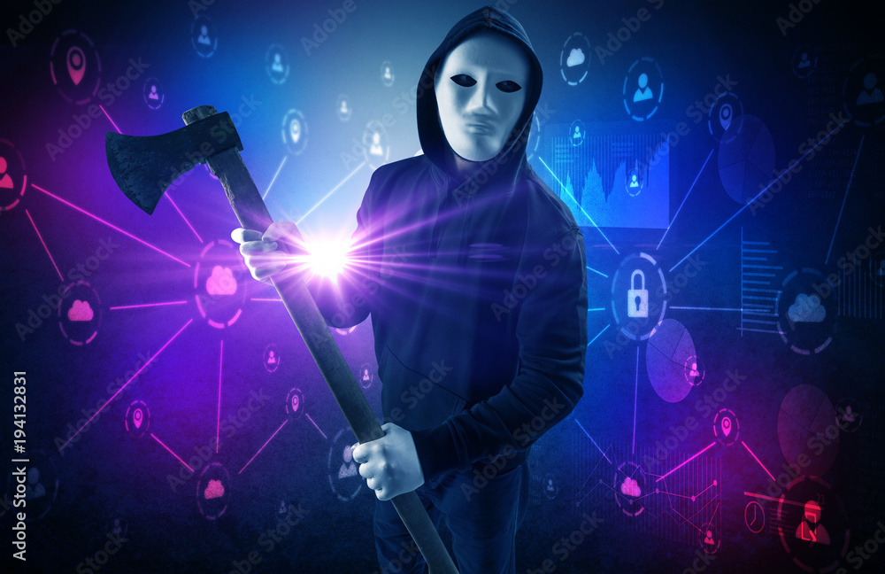 Obraz premium Burglar in secured database and network concept