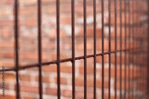 Blurred bard background. Dark brown fence