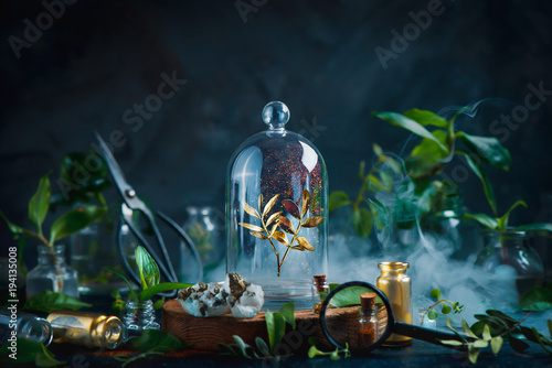 Rare plant under a glass dome. Preserving precious things concept. Botanical still life with copy space.