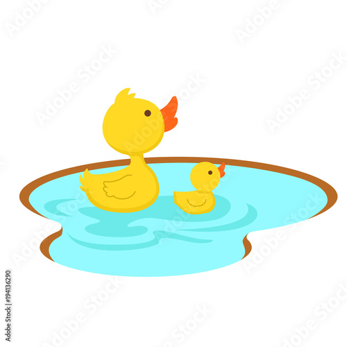 duck swimming in the pond, illustration.