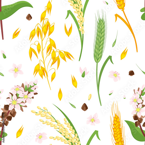 seamless pattern with cereals