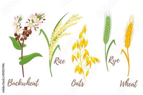 set of cereals