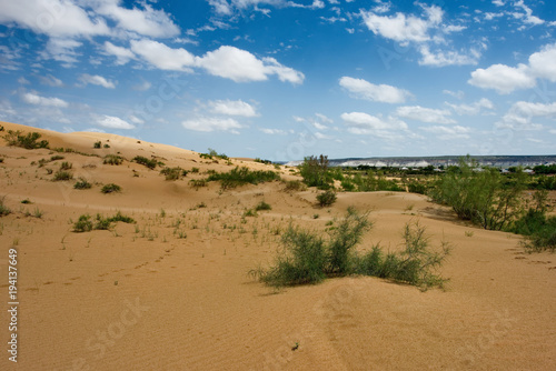 West Kazakhstan. Life in sand dunes Senek.