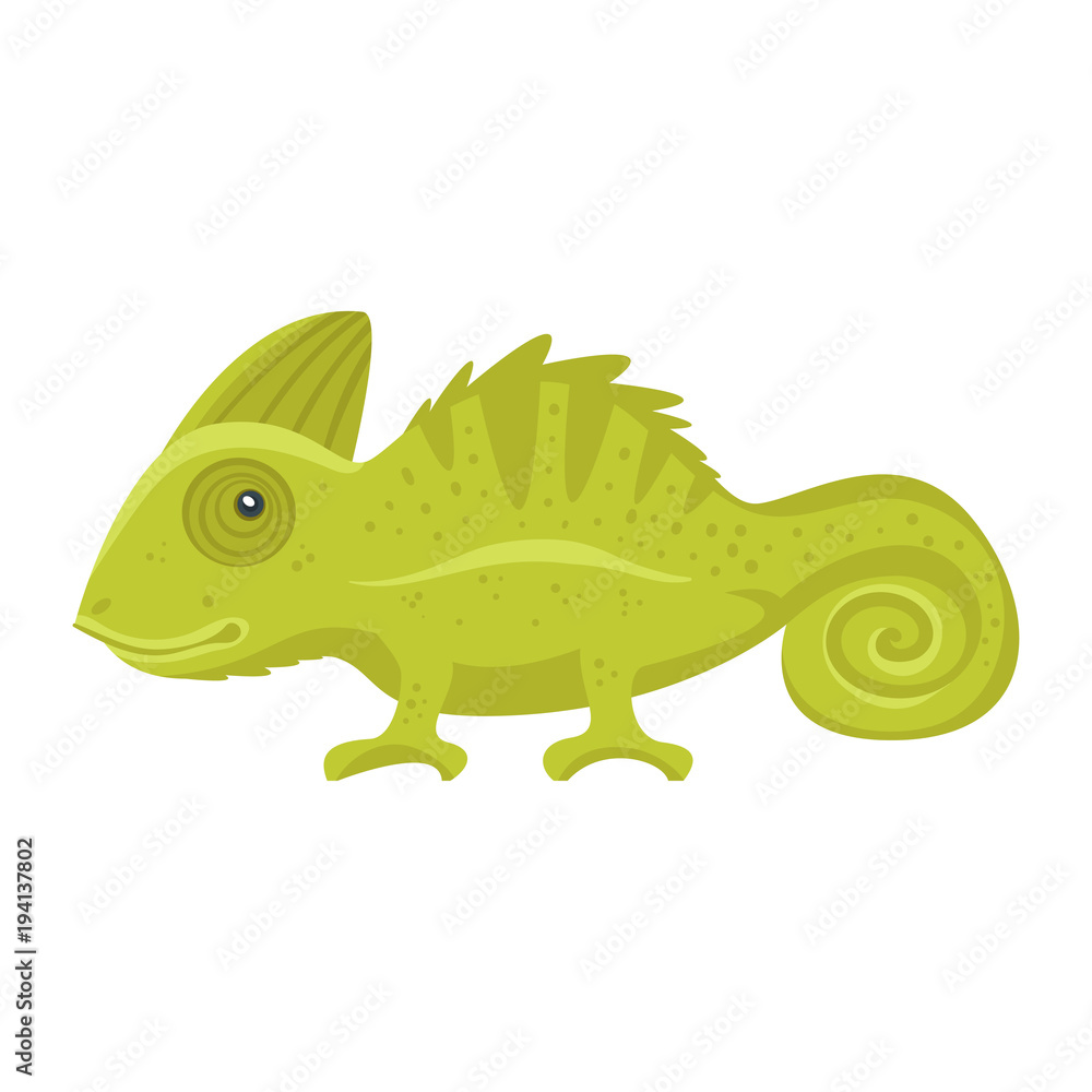 Obraz premium animal pet - green chameleon