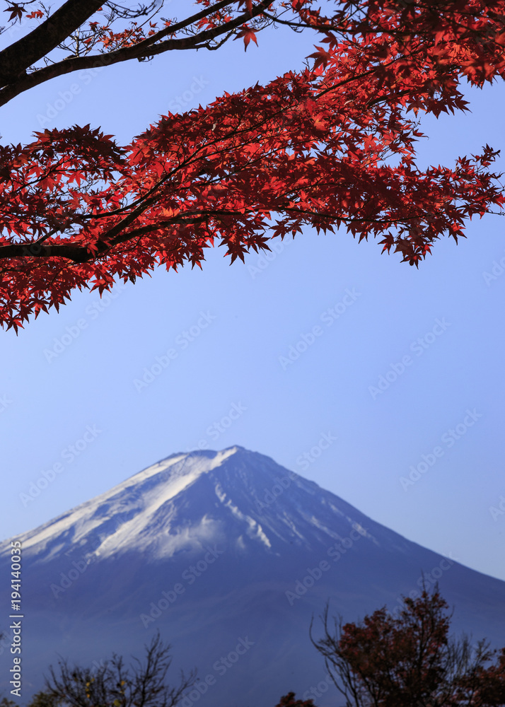 View of mount Fuji in Japan