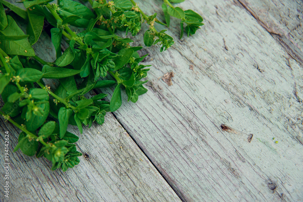 bundle of spinach on wooden background. bundle of spinach on wooden background.