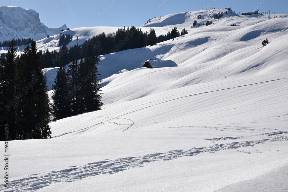 Chalet dans la neige de l'Oberland bernois en Suisse