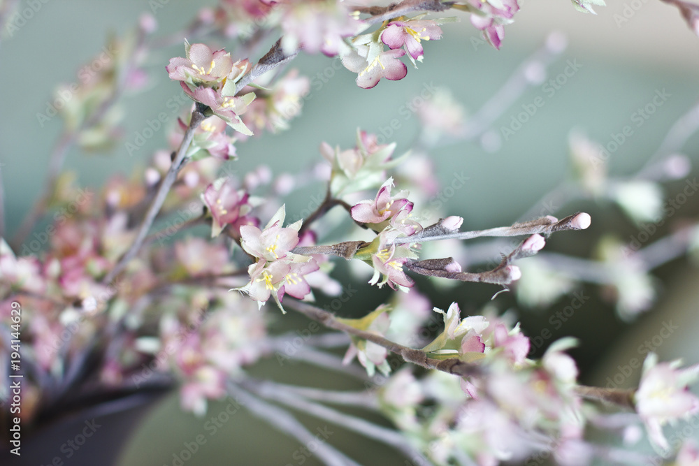 Sakura branch. Cherry blossom pink artificial flowers made of silk on a turquoise background Sakura branch. Cherry blossom pink artificial flowers made of silk on a turquoise background