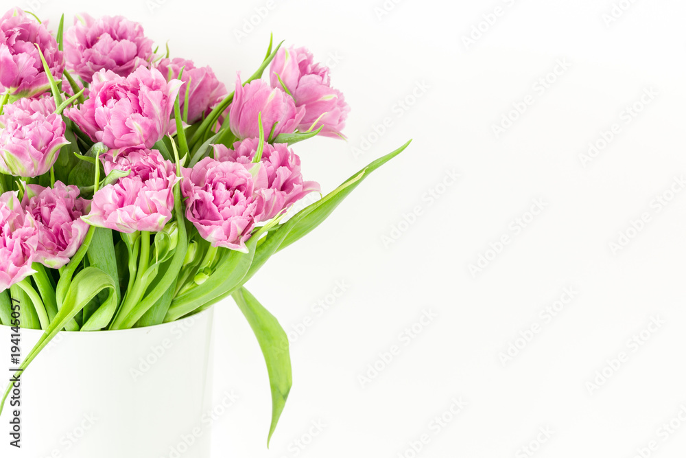 Close up bouquet of pink tulips in bucket. Fresh spring easter flower. White background , copy space