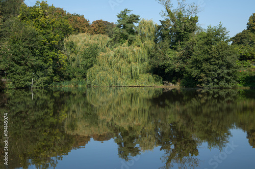 photo of a village pond with reflections in the water