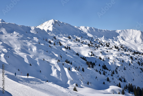 Randonn  e dans la neige dans l Oberland bernois en Suisse