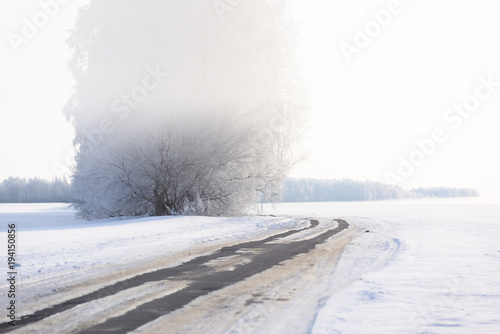 Snow winter landscape. Empty road, snow field and trees in hoarfrost and mist