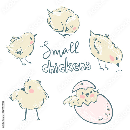 Little yellow chickens. Set of cute characters.