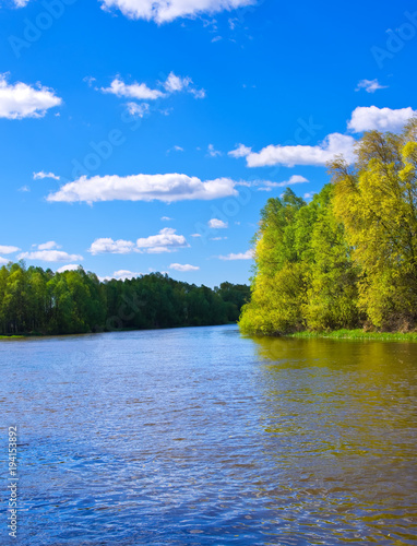 River in Spring. Nature composition