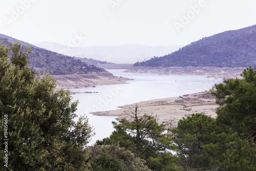 trees around a dam with little water in summer  