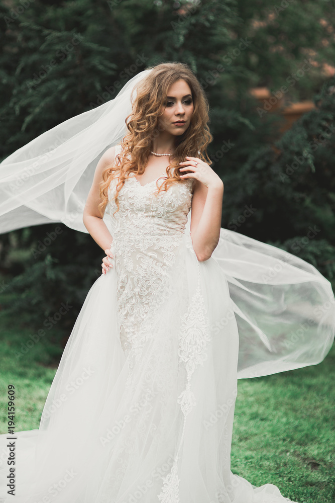 Beautiful luxury bride in elegant white dress Beautiful luxury bride in elegant white dress