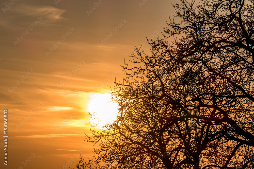 Sonnenuntergang und Bäume