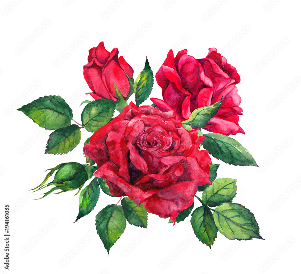 Fototapeta Red roses bouquet. Isolated watercolor illustration