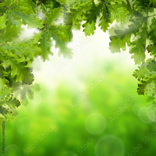 Abstract Spring Background with Green Oak Leaves, Bokeh Sparkle and Copy Space for Text