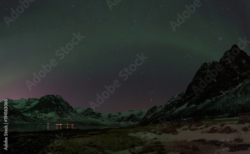 Green Northern Light (Aurora Borealis) in a clear starry night above a Norwegian fjord, Tromsø, Norway