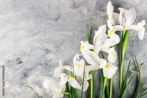 Fototapeta Naklejka Na Ścianę i Meble -  Bouquet of Beautiful Iris Flowers